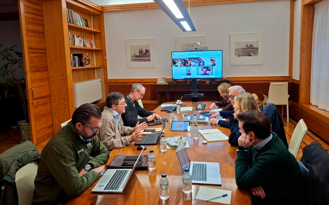 El comité seguirá reuniéndose de forma periódica para evaluar la evolución de la situación. /DGA