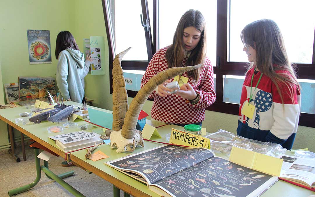 Sesión de laboratorio para convivir en el encuentro entre centros. / B. Severino