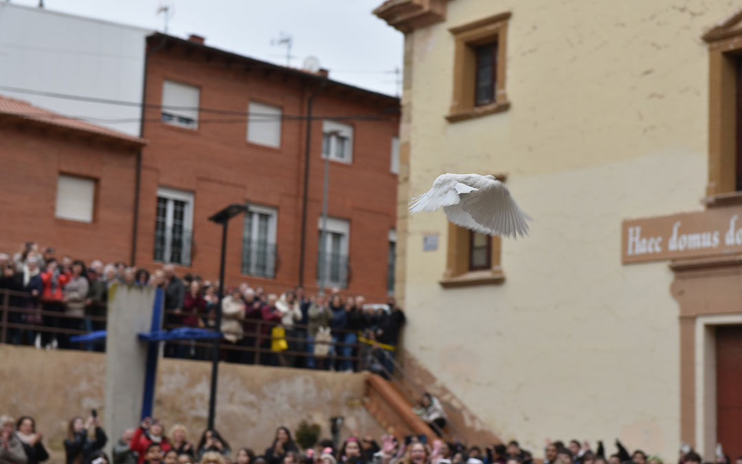 Día de la Paz y la No Violencia escolar 2026 en Alcorisa. / Tomás Montero