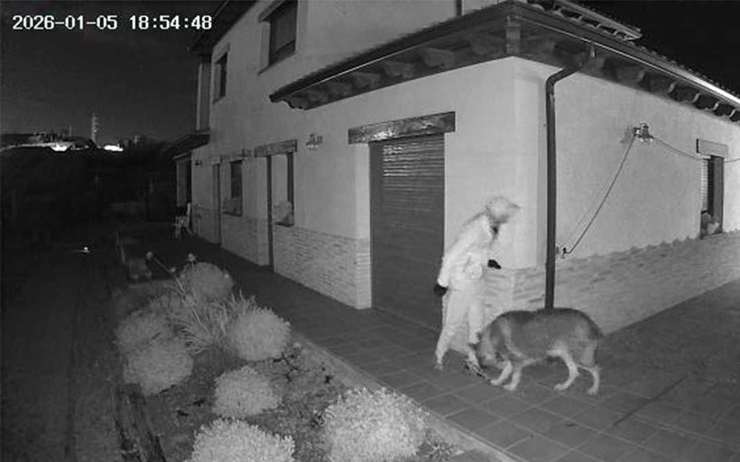 Imagen de una de las cámaras de seguridad en la casa de uno de los afectados. El perro del propietario no fue agredido./ Cedida