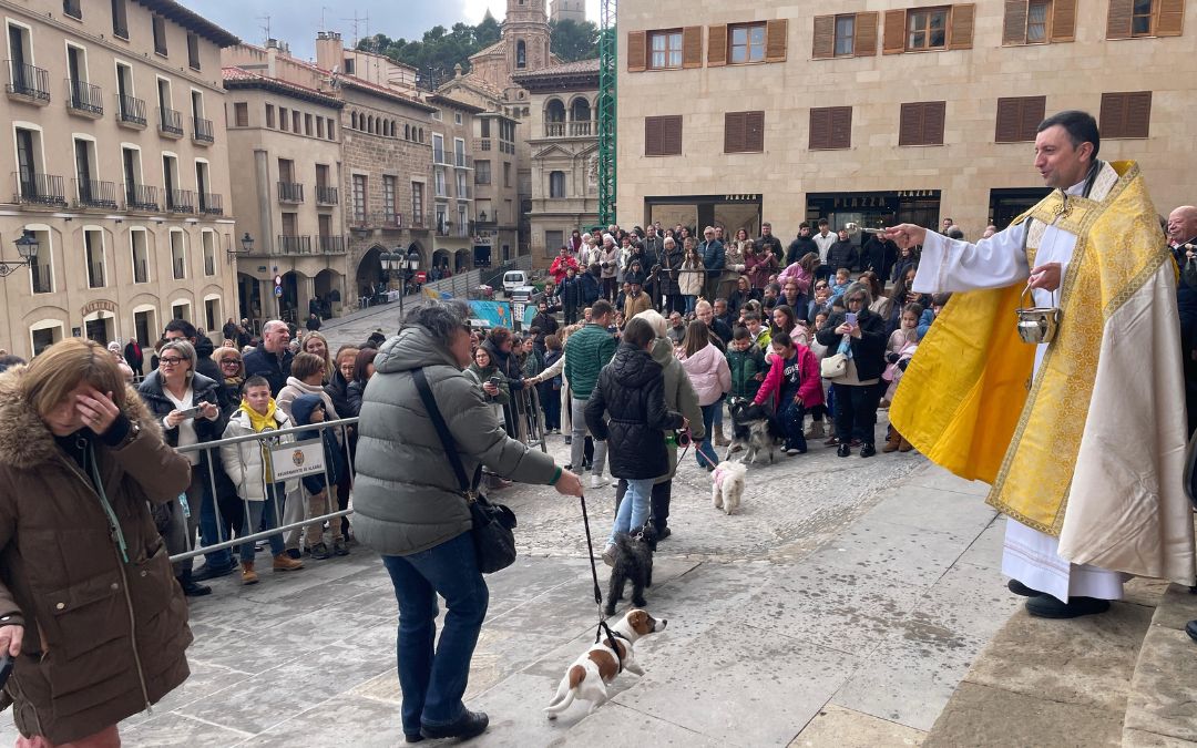 Bendición animales San Antón Alcañiz 2026./ S.F.