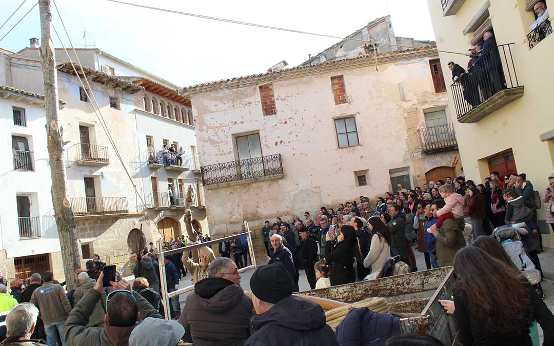 Castelserás planta su chopo para la Monumental Hoguera 2026. / B. Severino