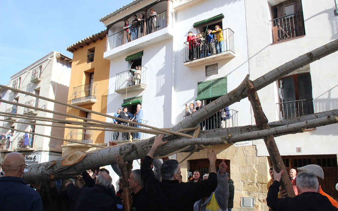 Castelserás planta su chopo para la Monumental Hoguera 2026. / B. Severino
