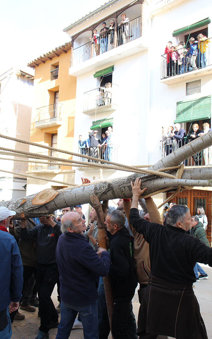 Castelserás planta su chopo para la Monumental Hoguera 2026. / B. Severino