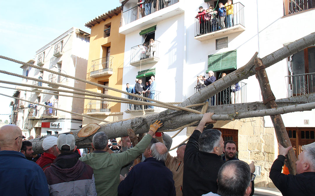 Castelserás planta su chopo para la Monumental Hoguera 2026. / B. Severino