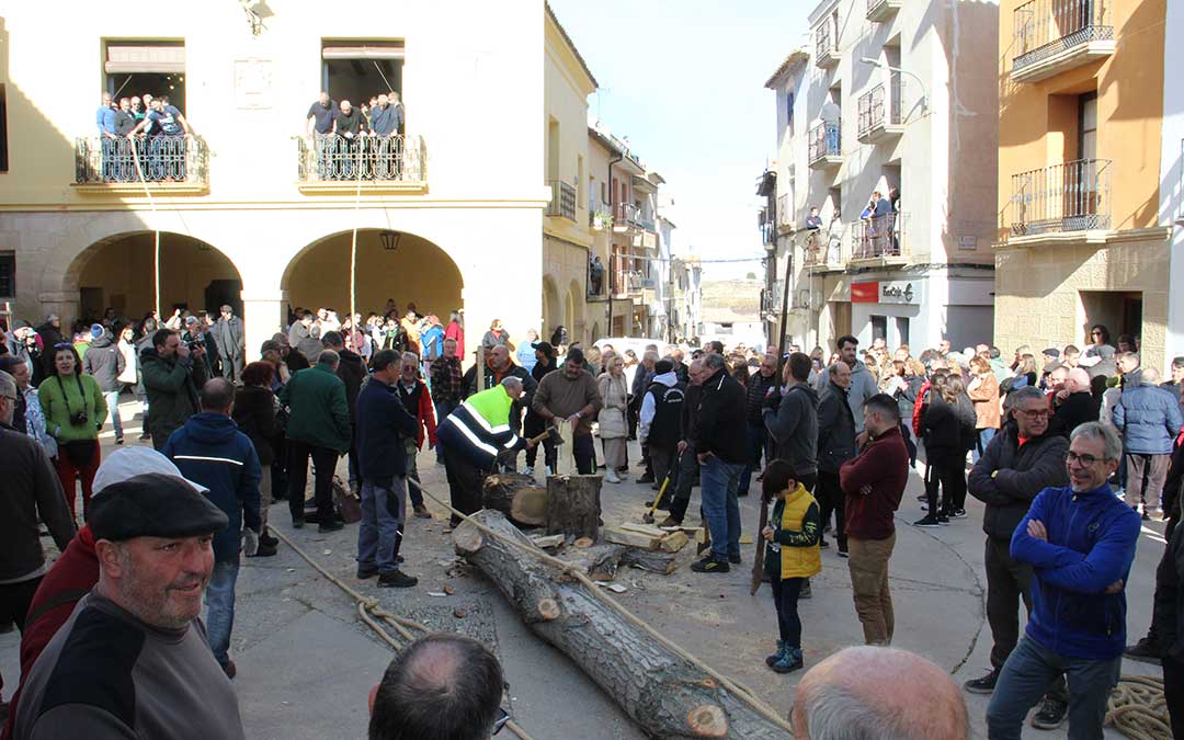 Castelserás planta su chopo para la Monumental Hoguera 2026. / B. Severino