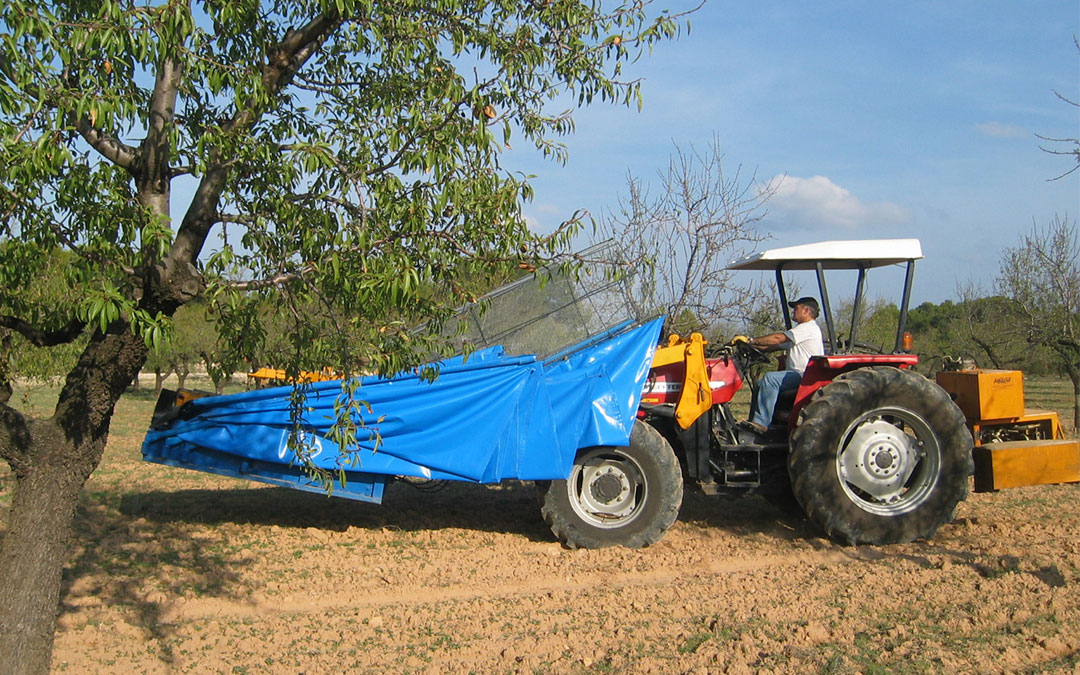 Un agricultor con la vibradora recogiendo la almendra. / L.C