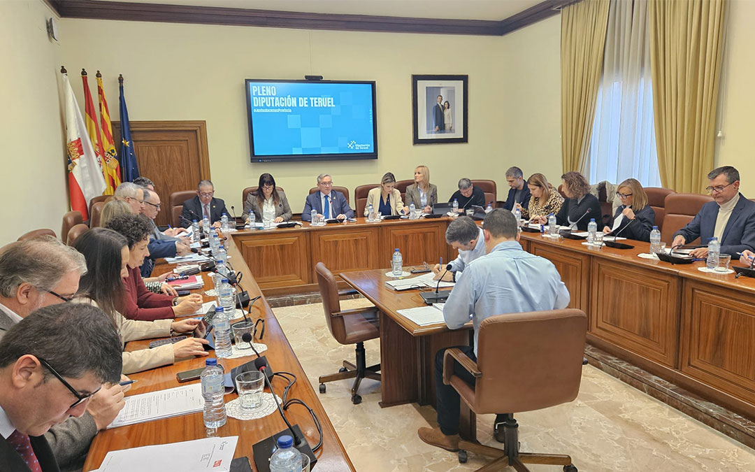 Instantes de la sesión ordinaria del mes de enero. / DPT