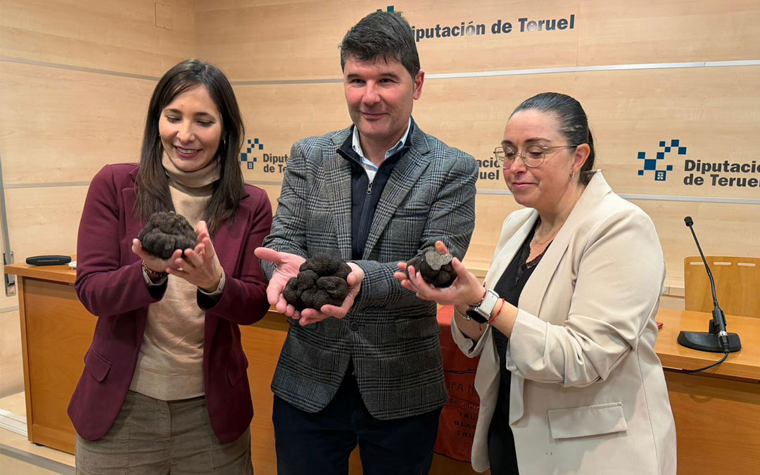 Instantes de la presentación con ejemplares de trufa negra de Teruel. / DPT