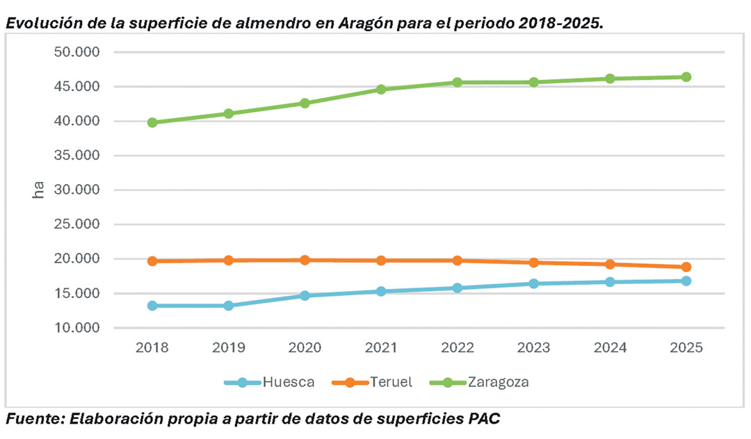 Gráfico de la evolución de la superficie de almendra en Aragón de 2018 - 2025. / UAGA