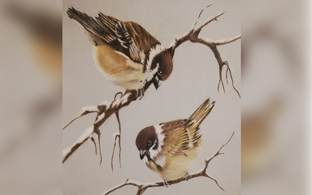 Animales y naturaleza, inspiración de Anji Luke. / L.C.