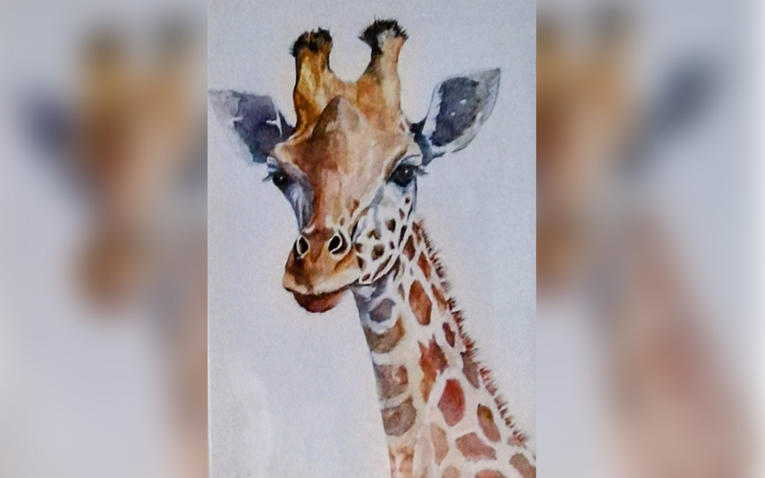 Animales y naturaleza, inspiración de Anji Luke. / L.C.