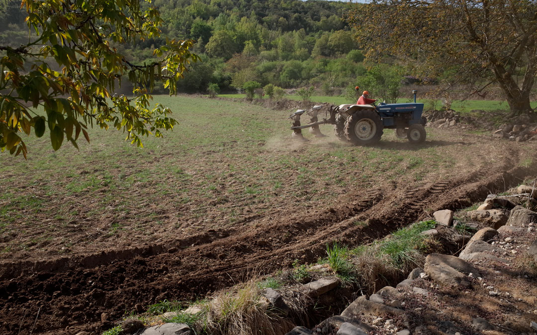 Imagen de archivo de un profesional agrario trabajando en su explotación./ DGA