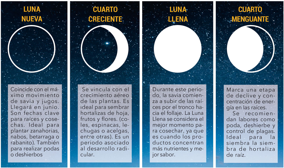 Fases de la Luna y lo recomendado que debía hacerse en cada una de ellas. /L.C