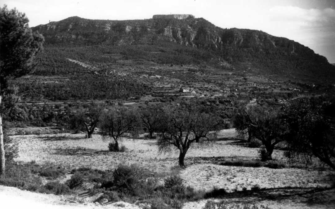 Foto de 1957 en Valderrobres con los olivos helados en primer término publicada en el libro '1956, L’any de la Gelada’ del periodista Lluís Rajadell / Archivo López Soriano del Instituto de Estudios Turolenses