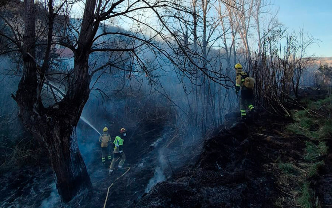 Labores de extinción en el incendio de Alloza por parte de los agentes forestarles./ INFOAR
