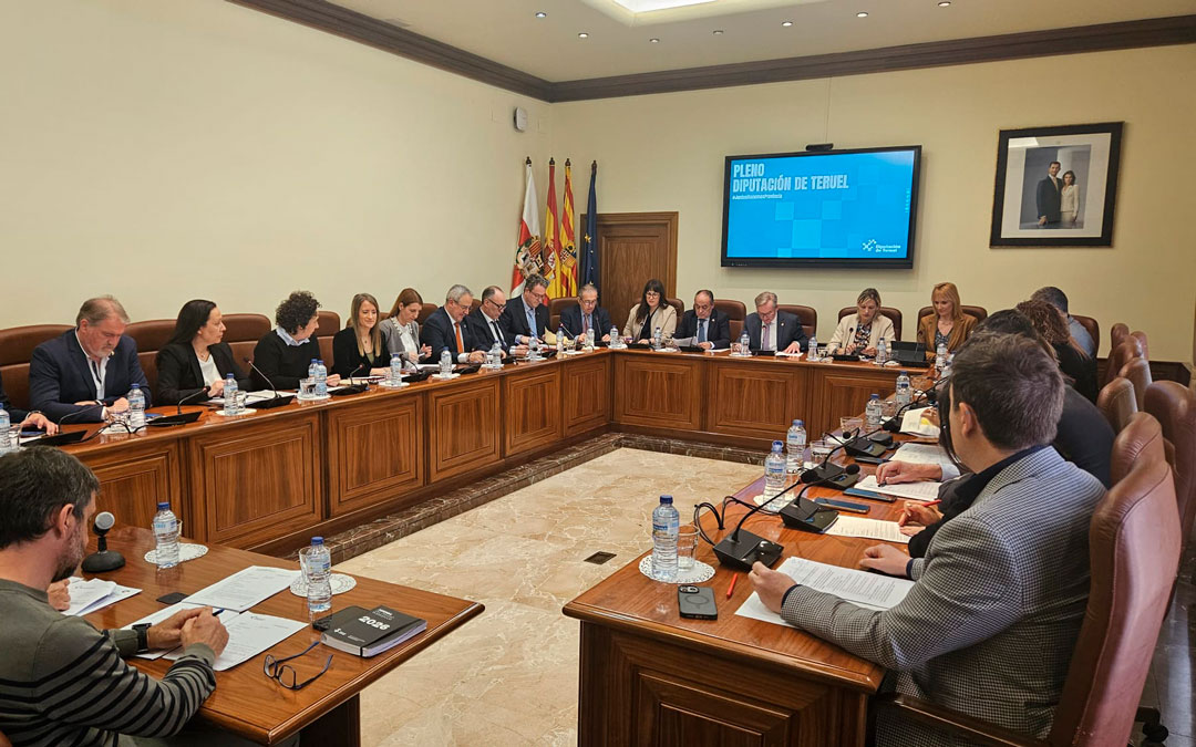 Instante del pleno de la DPT celebrado este miércoles. / DPT