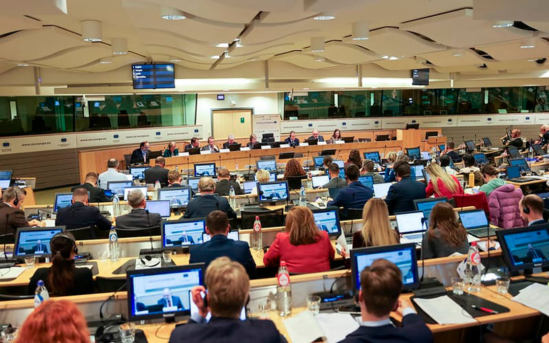 Imagen de la participación en la Consulta de Alto Nivel organizada por el Comité Europeo de las Regiones sobre el futuro Fondo Social Europeo 2028-2034. / RED SSPA