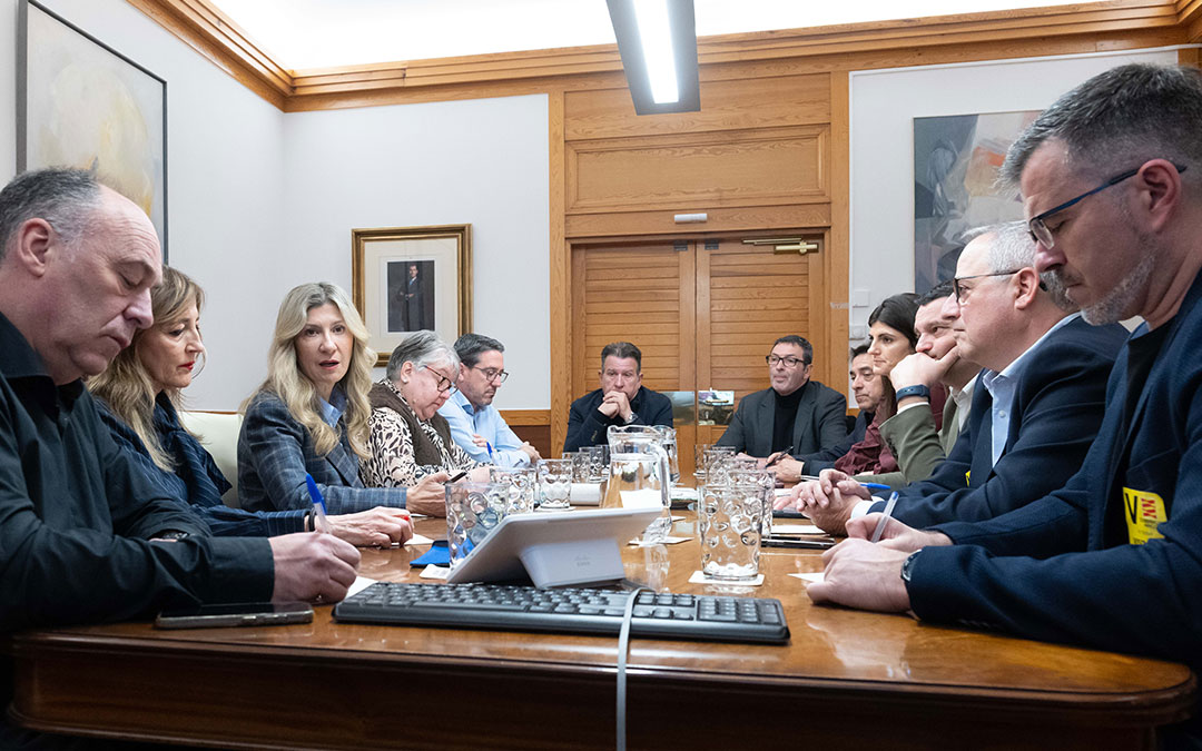 Instantes de la reunión con la vicepresidenta en funciones del Gobierno de Aragón, Mar Vaquero, y alcaldes de los municipios afectados por el Nudo Mudéjar. / DGA