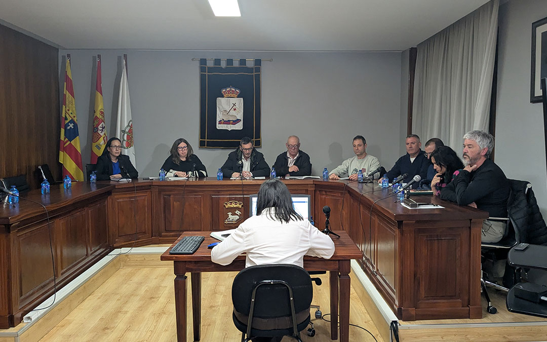 Instantes de la sesión extraordinaria del mes de marzo. / Ayto Andorra