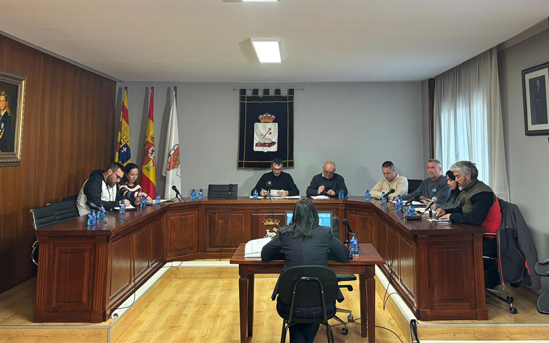 Instantes de la segunda sesión plenaria extraordinaria del mes de marzo. / S.C.