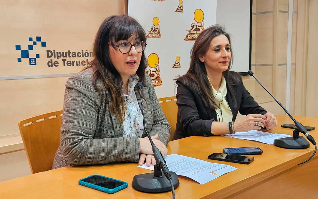 Presentación de la campaña este martes en la Diputación de Teruel./ DPT