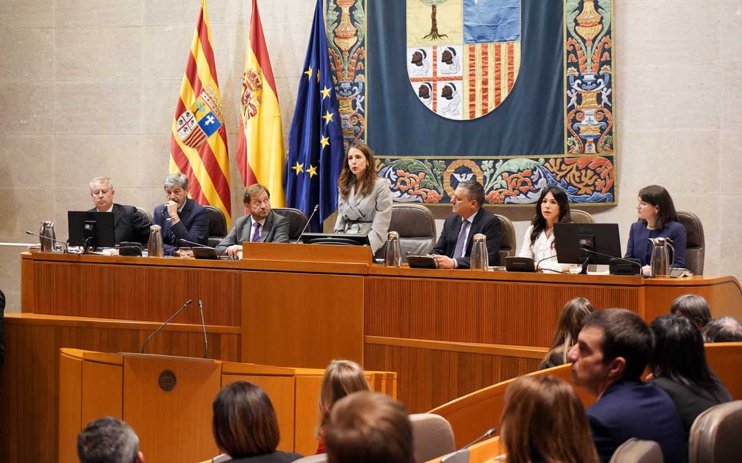 María Navarro toma la palabra al frente de la mesa de las Cortes./ CORTES