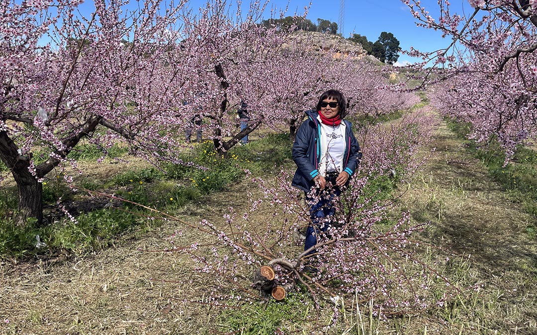 Melocotoneros en flor Calanda 2026./ S.F.