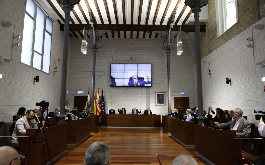 Sesión ordinaria de marzo de la DPZ./ DPZ