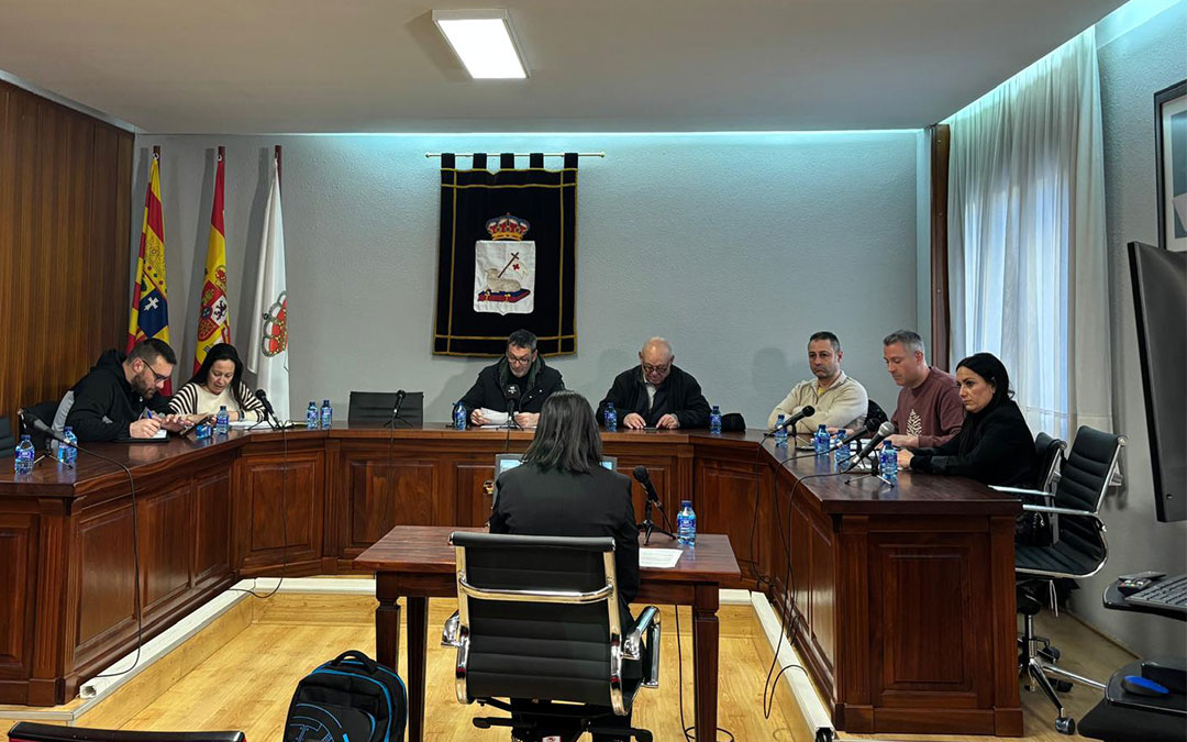 Instantes de la sesión plenaria extraordinaria. / S.C.
