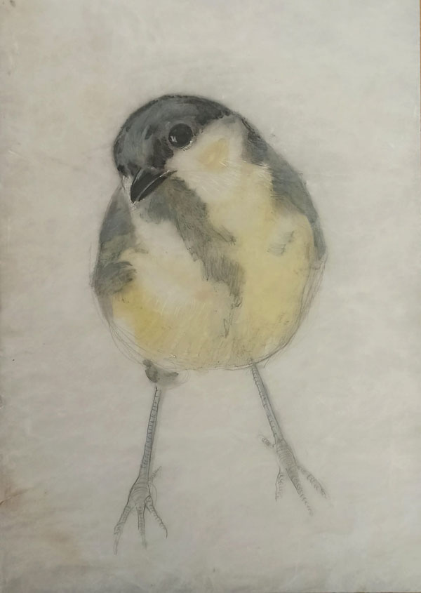 Carbonero./ Rubén Vidal