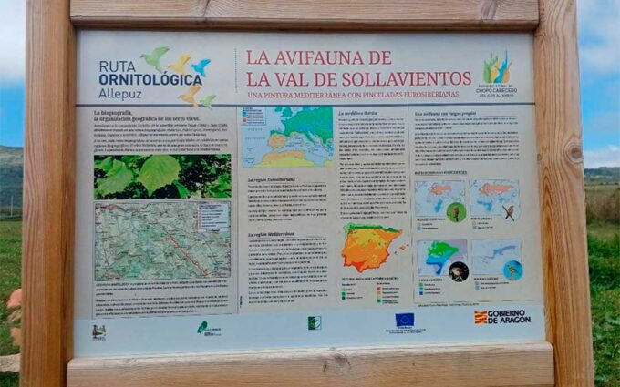 Nace 'Pajareando por el Maestrazgo', un proyecto que busca atraer turistas que miren al cielo