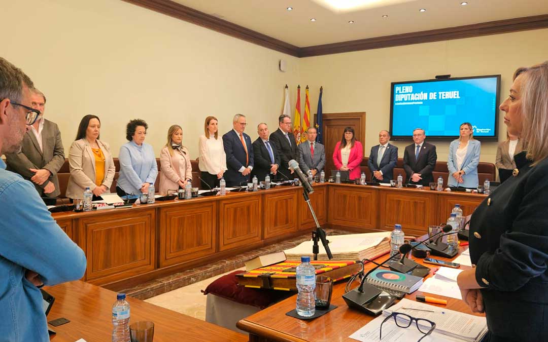 Instante del pleno de la Diputación de Teruel / DPT