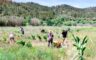 Del viñedo al bosque: 'Rovira Regenerativa' impulsa un modelo agrícola sostenible junto al Matarraña