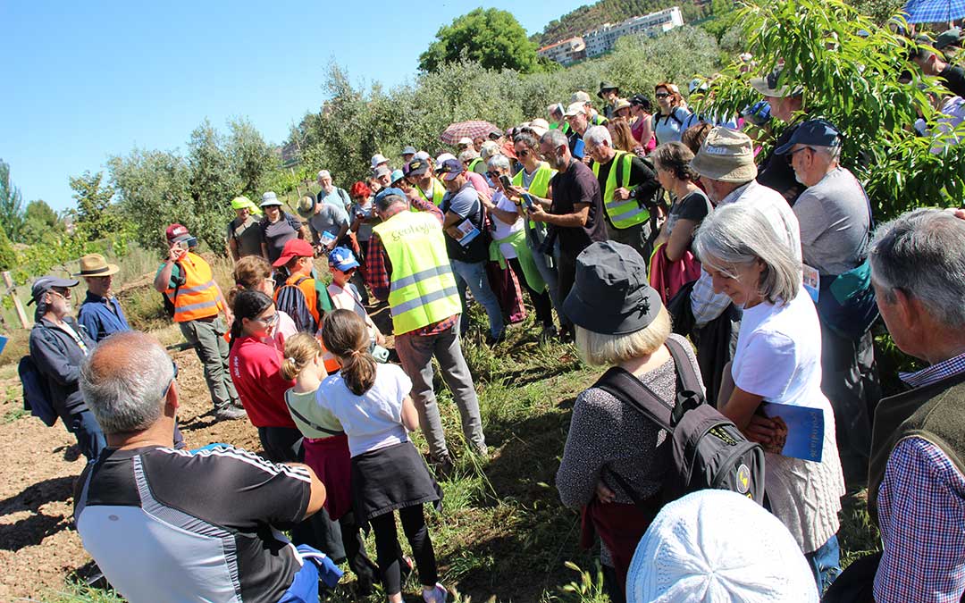 Geolodía 2026 en Alcañiz ante la peña de la Encarnación. / B. Severino