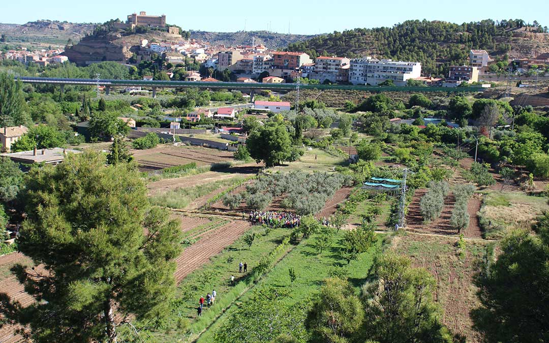 Vistas de Alcañiz y del grupo del Geolodía desde la peña de la Encarnación. / B. Severino