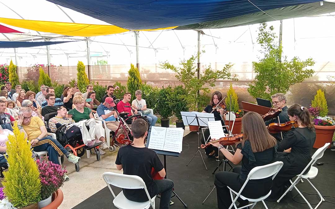 V Concierto del Conservatorio en Agrojardín dedicado especialmente a personas con discapacidad. / B. Severino