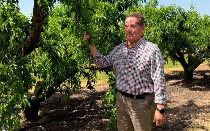 Ramón González, presidente de la D.O. Melocotón de Calanda: «Solo 4 millones obtienen la etiqueta D.O., hay que primar la calidad»