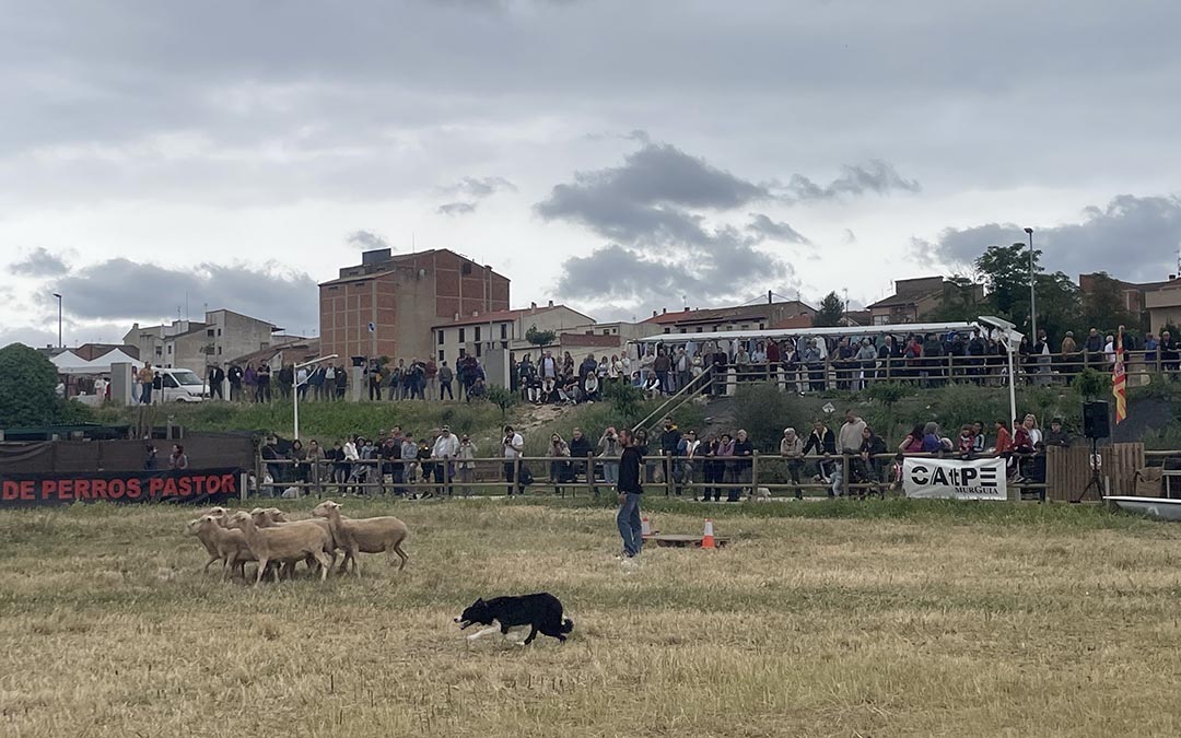 El público ha animado a los pastores./ S.F.