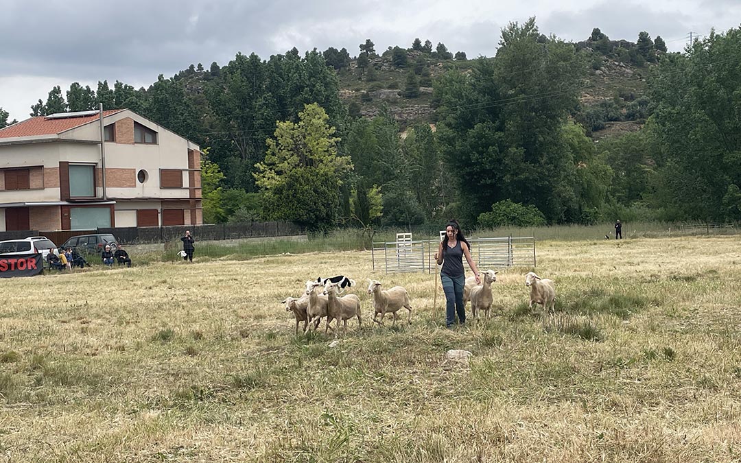 Las mujeres han conformado un cuarto de los participantes en el certamen./ S.F.