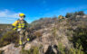 Alertan de falta de agentes forestales ante un verano con «riesgo total» de incendios