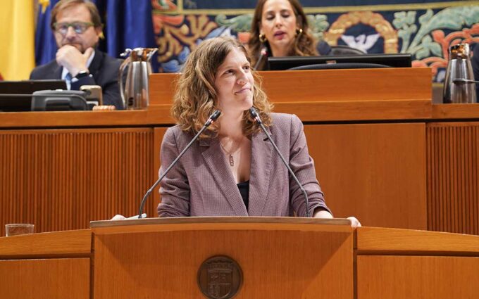 División en las Cortes por el responsable de la reducción del Nudo Mudéjar de Andorra: «Si Endesa hace 400 MW es porque le da la gana»