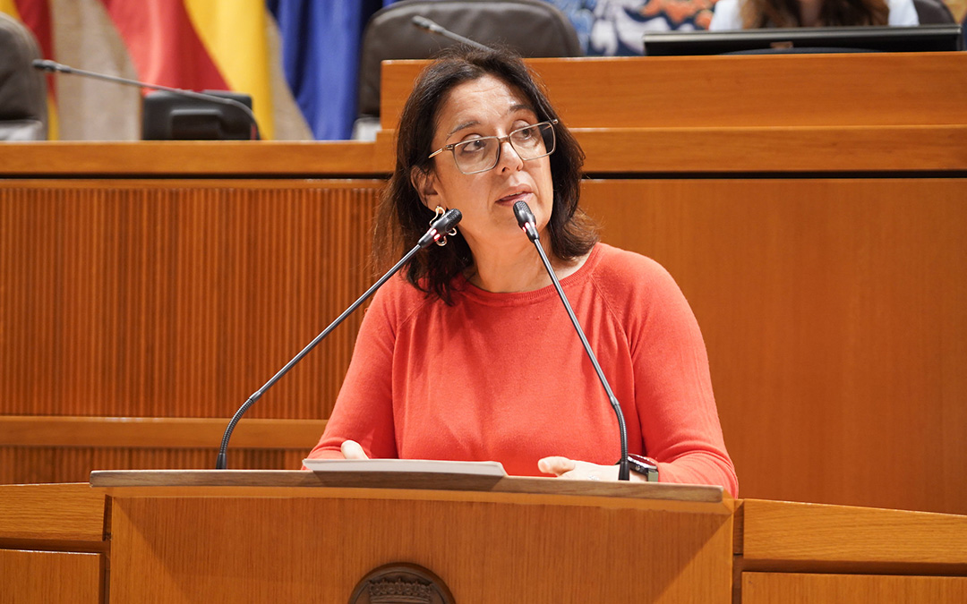 Ana Valle, consejera de Economía, Competitividad y Empleo durante su intervención./ Cortes de Aragón