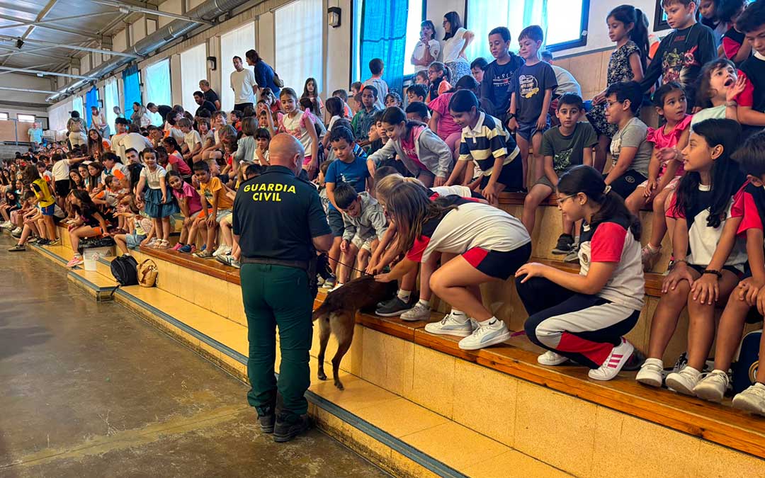 Los escolares han conocido a los perros de la Guardia Civil./ L.C.