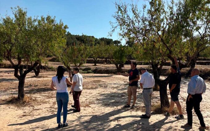 Los agricultores piden la declaración de zona catastrófica para las hectáreas afectadas por el granizo del domingo y DGA estudia lanzar ayudas