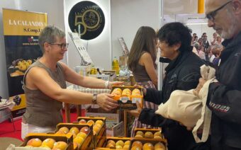 Probar, preguntar y repetir: Así ha vivido el público la V Feria de San Miguel de Calanda