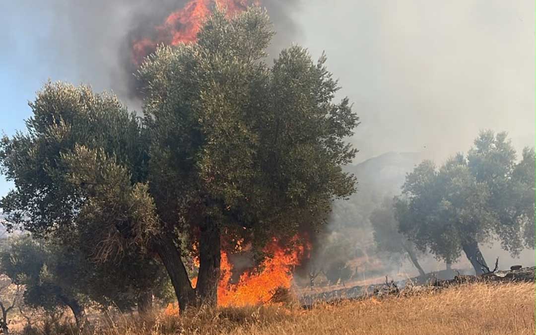 Incendio en Cretas este lunes / L. C.