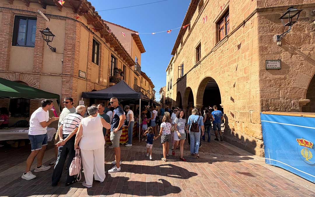 Decenas de vecinos y visitantes en la Plaza Mayor de La Mata de los Olmos durante la jornada del sábado por la mañana / Jesús Burgos