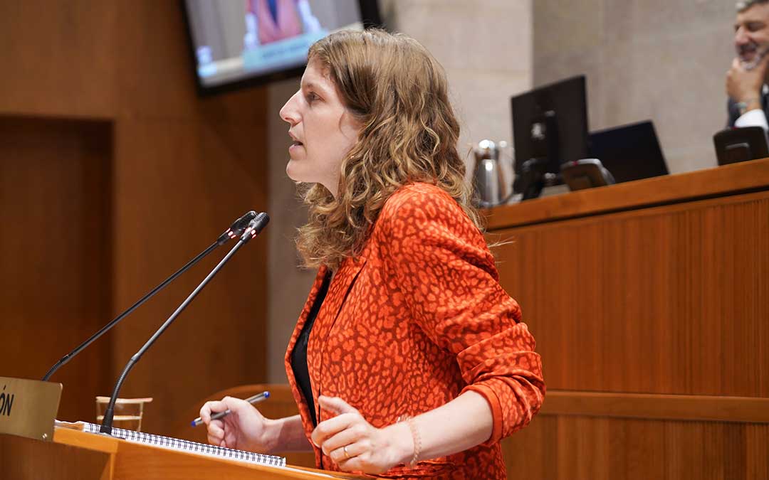 La diputada del PP Silvia Casas durante su intervención en las Cortes./ PP