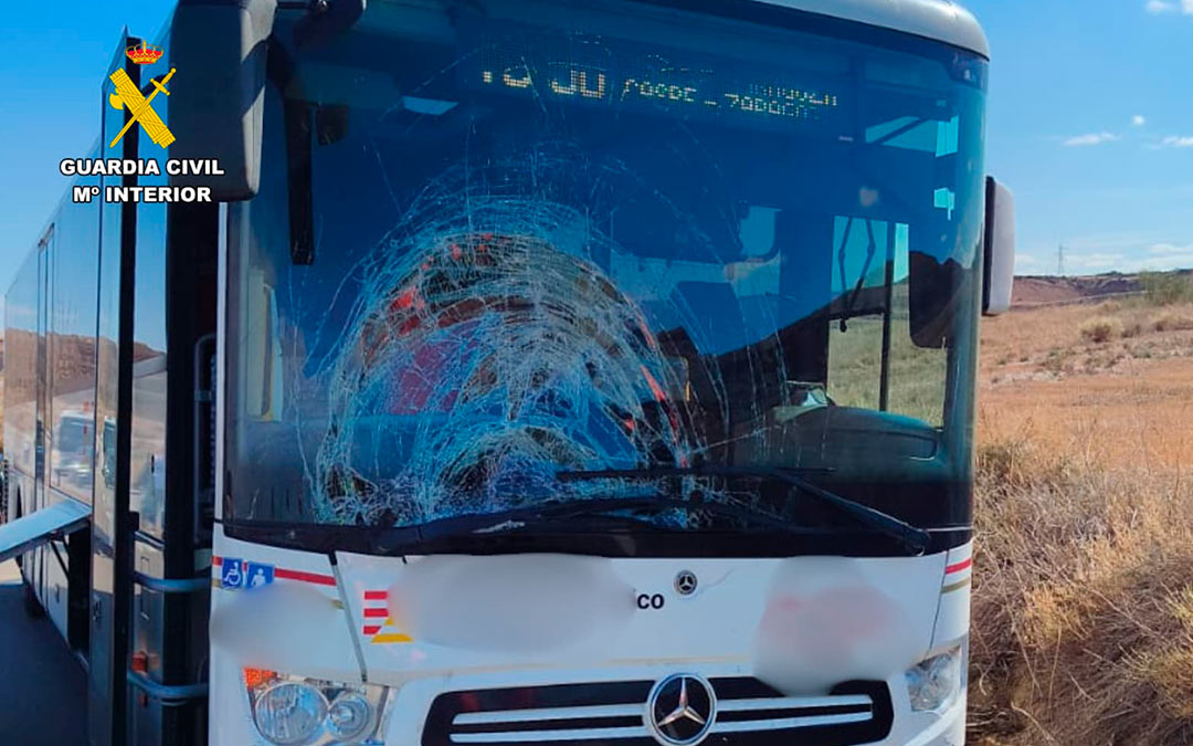 Autobús de la línea Caspe-Zaragoza atropella a un ciclista de 16 años en Sástago / Guardia Civil
